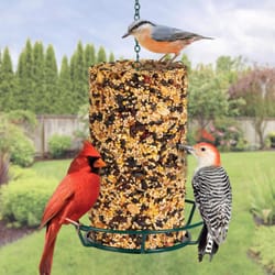 Kaytee All Wild Birds Fruits and Nuts Wild Bird Food 31.04 oz