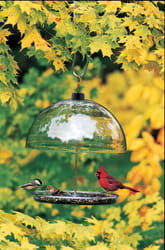 Droll Yankees Cardinal 1 lb Polycarbonate Platform Tray Bird Feeder