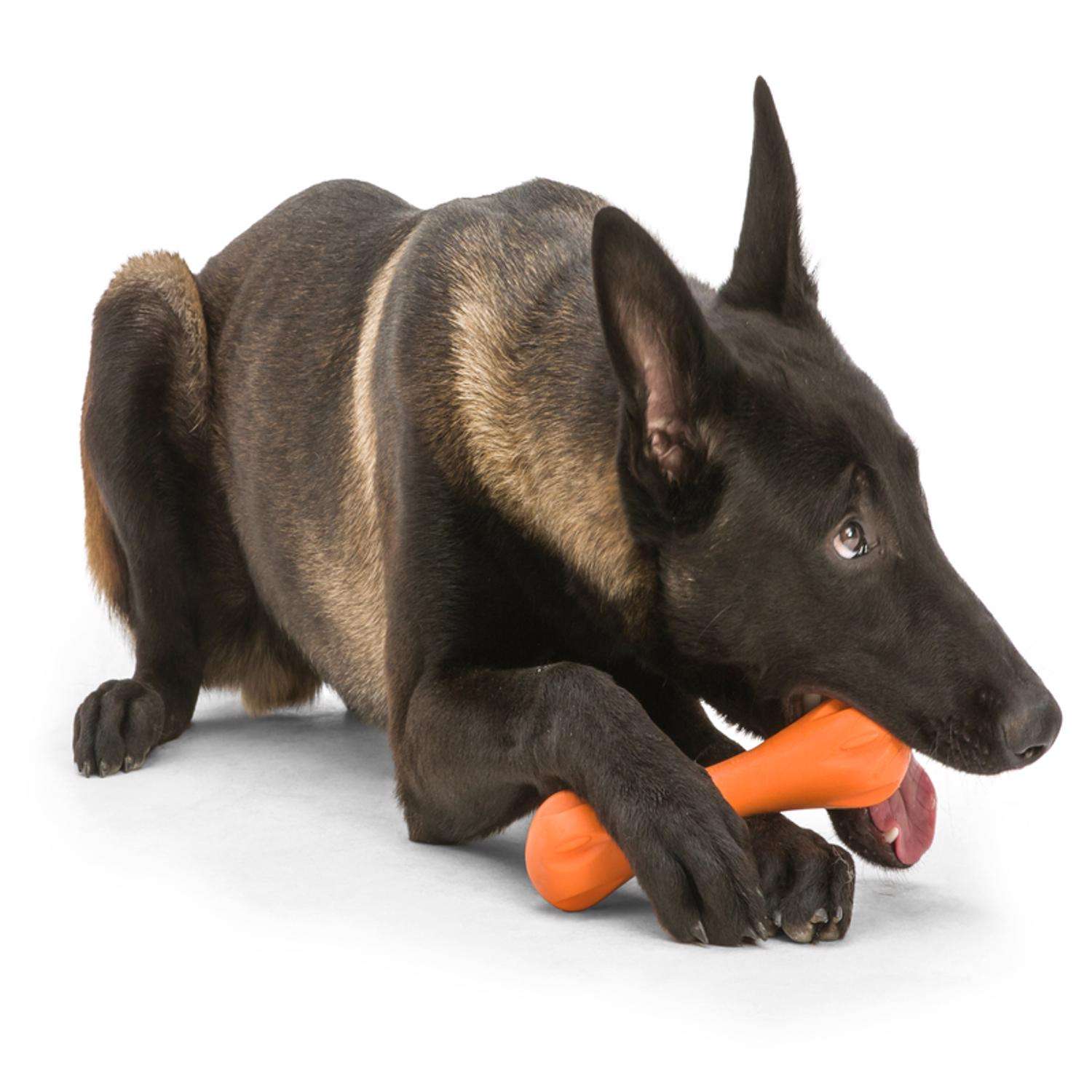 West Paw Zogoflex Hurley Tough Dog Chew Toy, Large < Pets Plus
