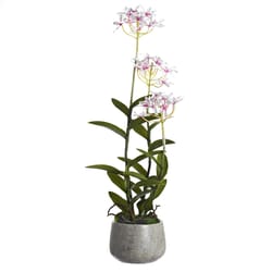 DW Silks 24 in. H X 8 in. W X 8 in. L Polyester Pink Epidendrum Orchids in Stone Planter