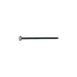 Grip-Rite 8D 2.5 in. Box Bright Steel Nail Flat Head 50 lb