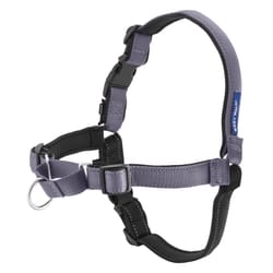 PetSafe Deluxe Easy Walk Grey Nylon Dog Harness Medium/Large