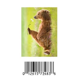 Avanti Press Greeting Cards