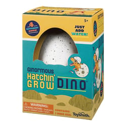 Toysmith Ginormous Hatchin' Grow Dino Assorted 1 pc