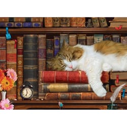Eurographics The Cat Nap Jigsaw Puzzles Multicolored 500 pc