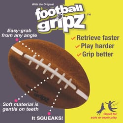 Nylabone Power Play Brown/White Football Dog Toy Medium 1 pk