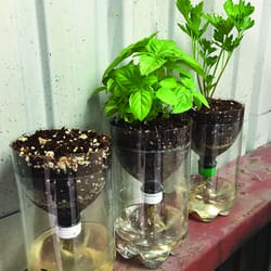 Hardware Science Desktop Hydroponic Project Kit