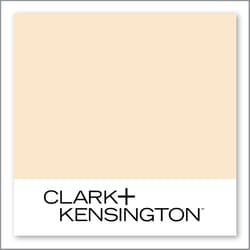 Clark+Kensington Shrimp Bisque 13C-2