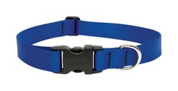 LupinePet Basic Solids Blue Blue Nylon Dog Adjustable Collar