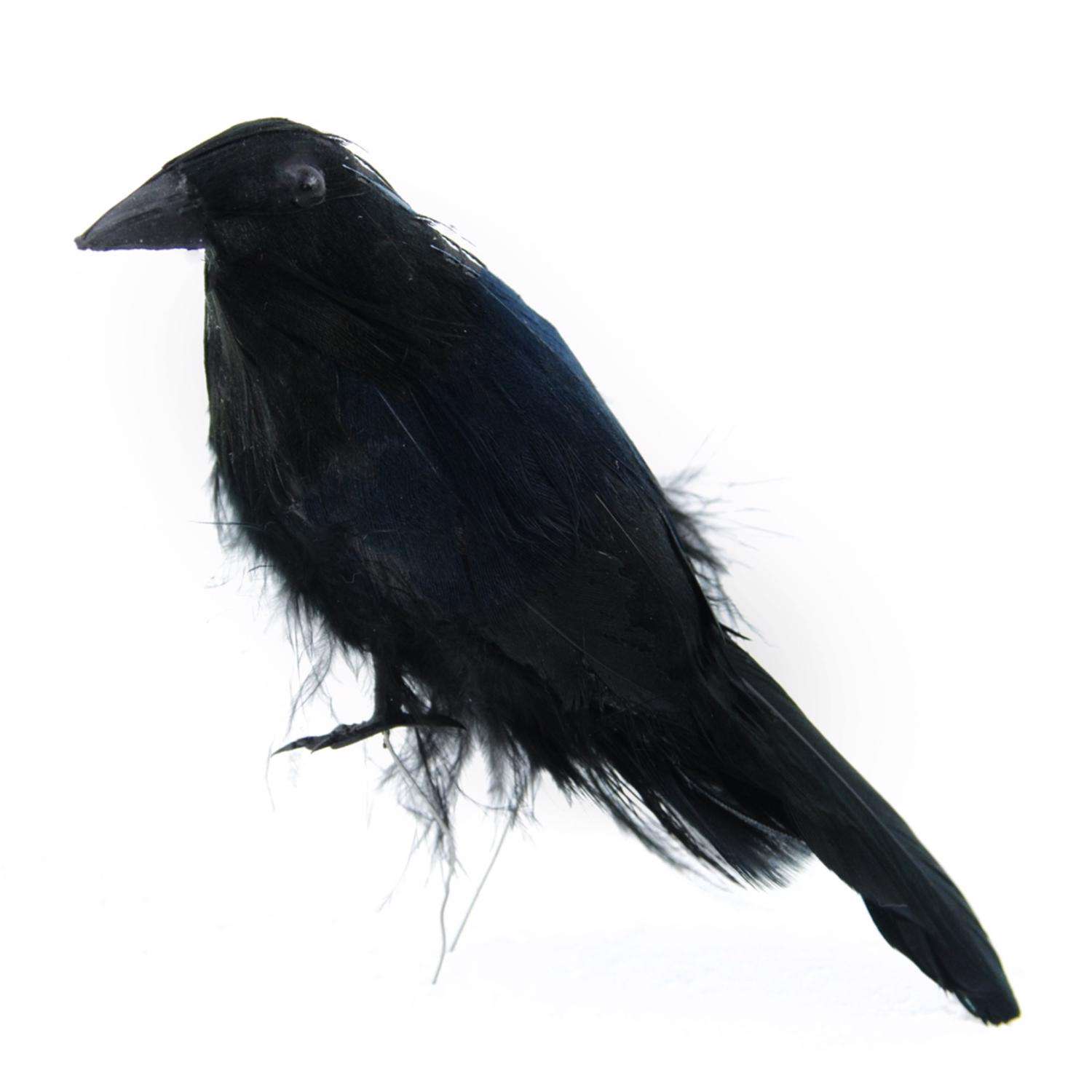 : 6 Pcs Halloween Black Feathered Crows with Nest