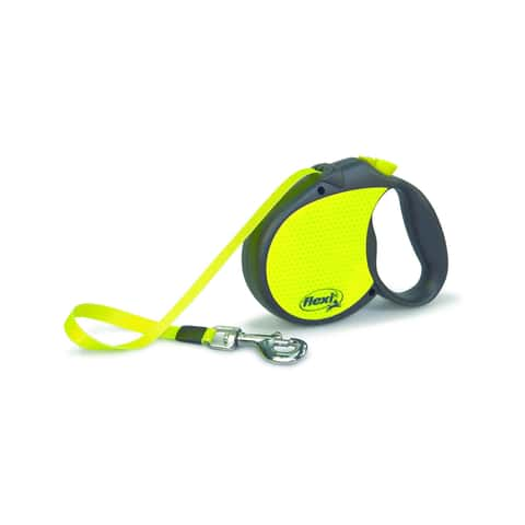 Mod 2025 retractable leash