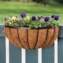 Panacea 16 in. W Steel Deck Rail Planter Black