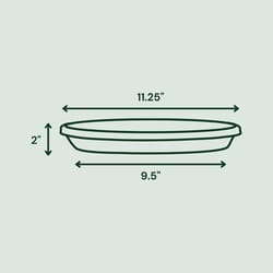 Bloem Terra 2 in. H X 9.5 in. W X 11.25 in. D Plastic Traditional Plant Saucer Green
