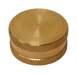 Plumb Pak Brass 3/4 in. D X 3/4 in. D Hose Cap with Washer 1 pk