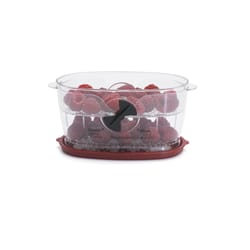 Progressive Prepworks 0.5 qt Clear Produce Keeper 1 pk