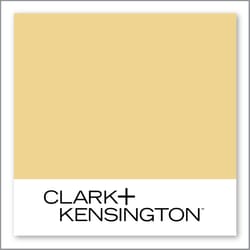 Clark+Kensington Lemon Pesto 22B-4