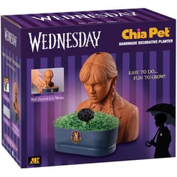 Chia Pet Wednesday Planter 1 pk