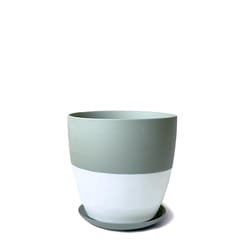 Chive Dyad 3 in. D Ceramic Succulent Pot Peacock Green