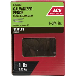 Ace 0.25 in. W X 1-3/4 in. L Galvanized Steel Fence Staples 1 lb