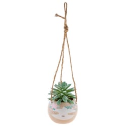 Karma 2 in. H X 2 in. W X 2 in. L Multicolored Ceramic Hanging Succulent Pot