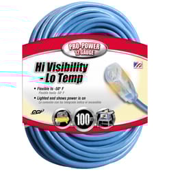 Coleman Cable Indoor or Outdoor 100 ft. L Blue Extension Cord 12/3 SJTW