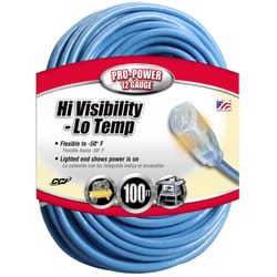 Coleman Cable Indoor or Outdoor 100 ft. L Blue Extension Cord 12/3 SJTW