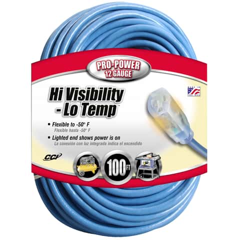 Coleman Cable Indoor or Outdoor 100 ft. L Blue Extension Cord 12/3