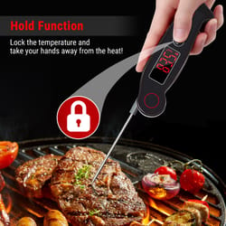 Tempspike Premium Truly Wireless Meat Thermometer up to 500-Ft Remote –  Academy of Q