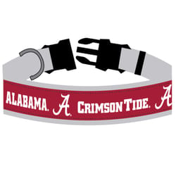 Pets First NCAA Gray/Red Alabama Crimson Tide Nylon Dog Collar Large