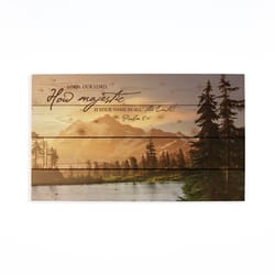 P Graham Dunn 14 in. H X 24 in. L Multicolored Wood Pallet Decor