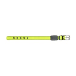Nite Ize Nite Dog Green Nylon Dog Collar Small