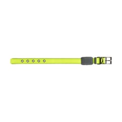 Nite Ize Nite Dog Green Nylon Dog Collar Small