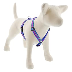 LupinePet Original Designs Multicolored Ripple Creek Nylon Dog Harness Small