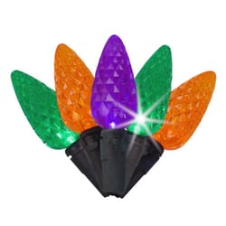 Celebrations Multicolored 100 ct LED C6 Faceted Halloween String Lights