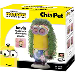Chia Pet Minions the Rise of Gru Kevin Decorative Planter Clay 1 pk