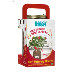 Back to the Roots Self-Watering Planter Green/Red/Yellow Sweet Bell Pepper Grow Kit 1 pk
