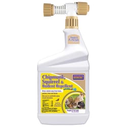 Bonide Repels-All Animal Repellent Liquid For Chipmunks and Squirrels 32 oz