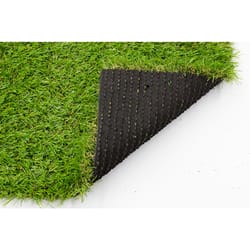 WJ Dennis Lounge 7 W X 5 L Green Polyethylene Terephthalate Astroturf