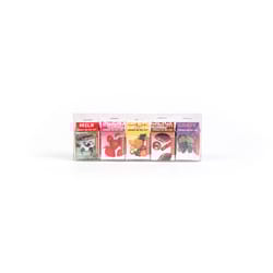 Kikkerland Erasers TPR/Paper 5 pk