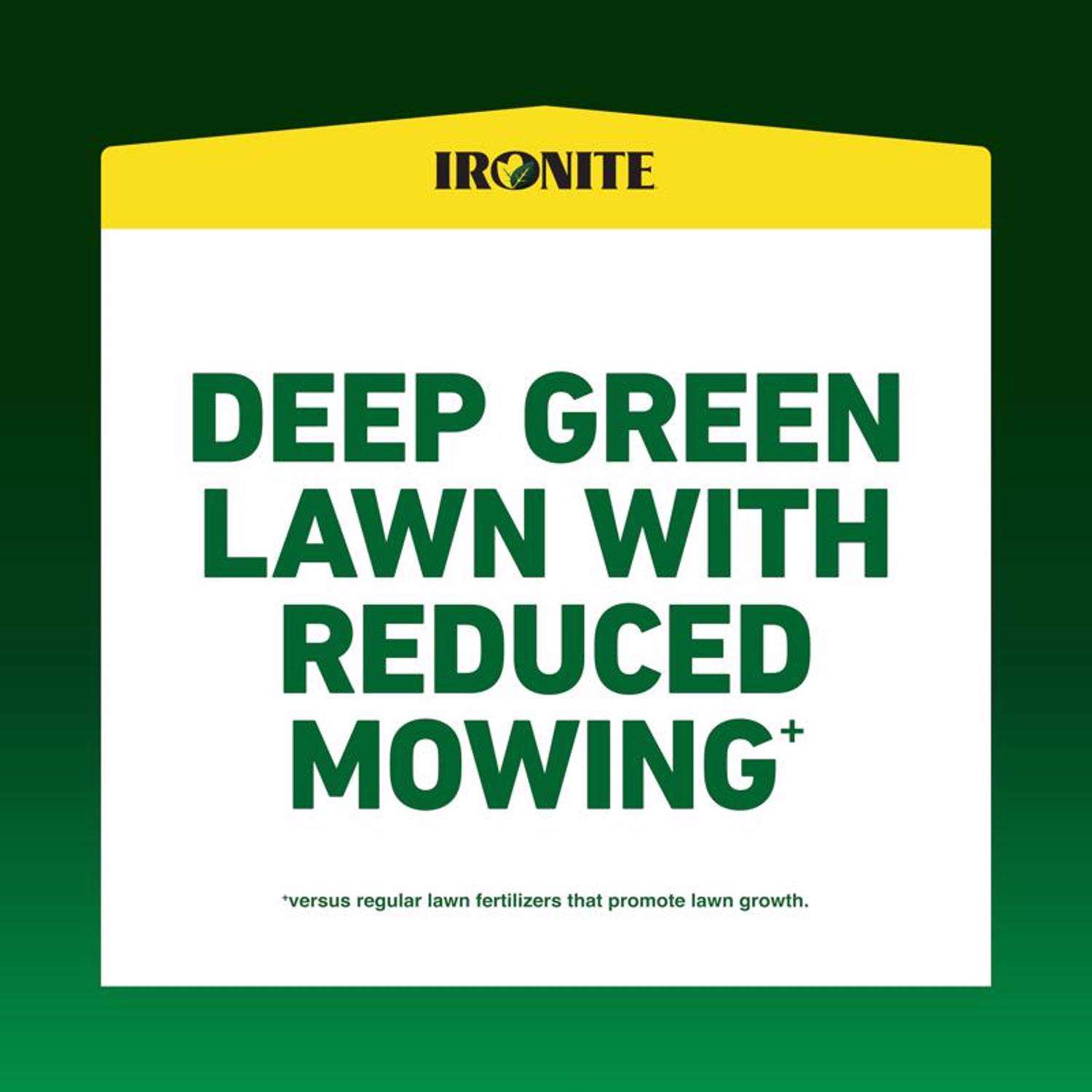 Pennington Ironite All-Purpose Lawn Fertilizer For All Grasses 5000 sq ft