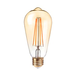 Globe Electric Vintage ST19 E26 (Medium) LED Bulb Warm White 60 Watt Equivalence 1 pk