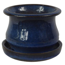 Trendspot Low Bell 5.3 in. H X 6.9 in. W X 6.9 in. D X 7 in. D Ceramic Planter Blue