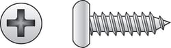 HILLMAN No. 10 Ga. X 2 in. L Phillips Pan Head Sheet Metal Screws 100 pk