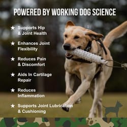 Operation Good Boy Dog Hip and Joint Supplement 90 ct