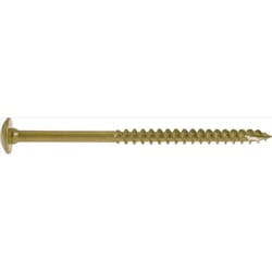 HILLMAN Power Pro 5/16 in. X 6 in. L Star Steel Lag Screw 1 pk