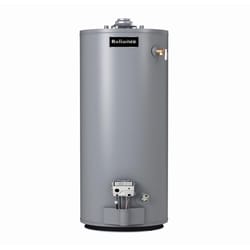 Natural Gas Water Heaters | Ace Hardware