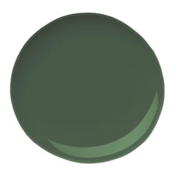 Beyond Paint Matte Forest Green Water-Based Paint Exterior & Interior 1 PT