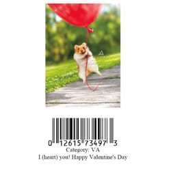 Avanti Press Hamster Heart Balloon Greeting Cards Paper 1 pk
