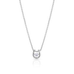 Montana Silversmiths Women's Dancing Birthstone Horseshoe Silver Necklace Water Resistant