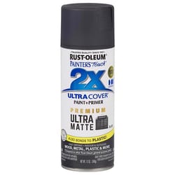 Rust-Oleum Painter's Touch 2X Ultra Cover Ultra Matte Slate Paint+Primer Spray Paint 12 oz